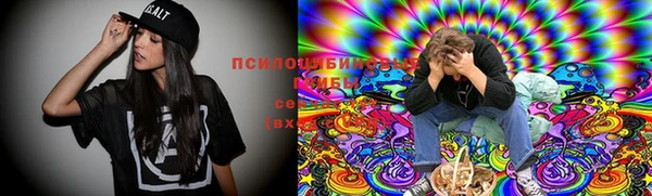 кокс Богородск