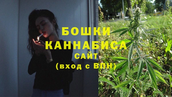 первитин Богданович