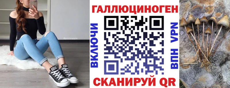 сколько стоит  Верхняя Пышма  Псилоцибиновые грибы GOLDEN TEACHER 